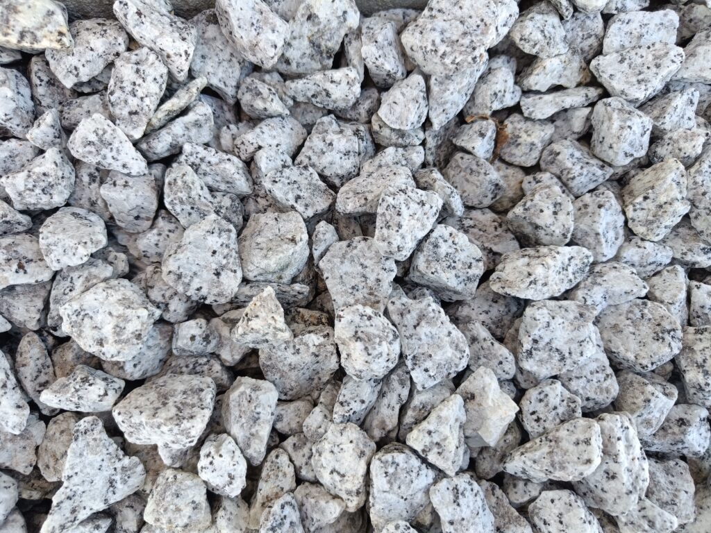 Grys granitowy Dalmatyńczyk