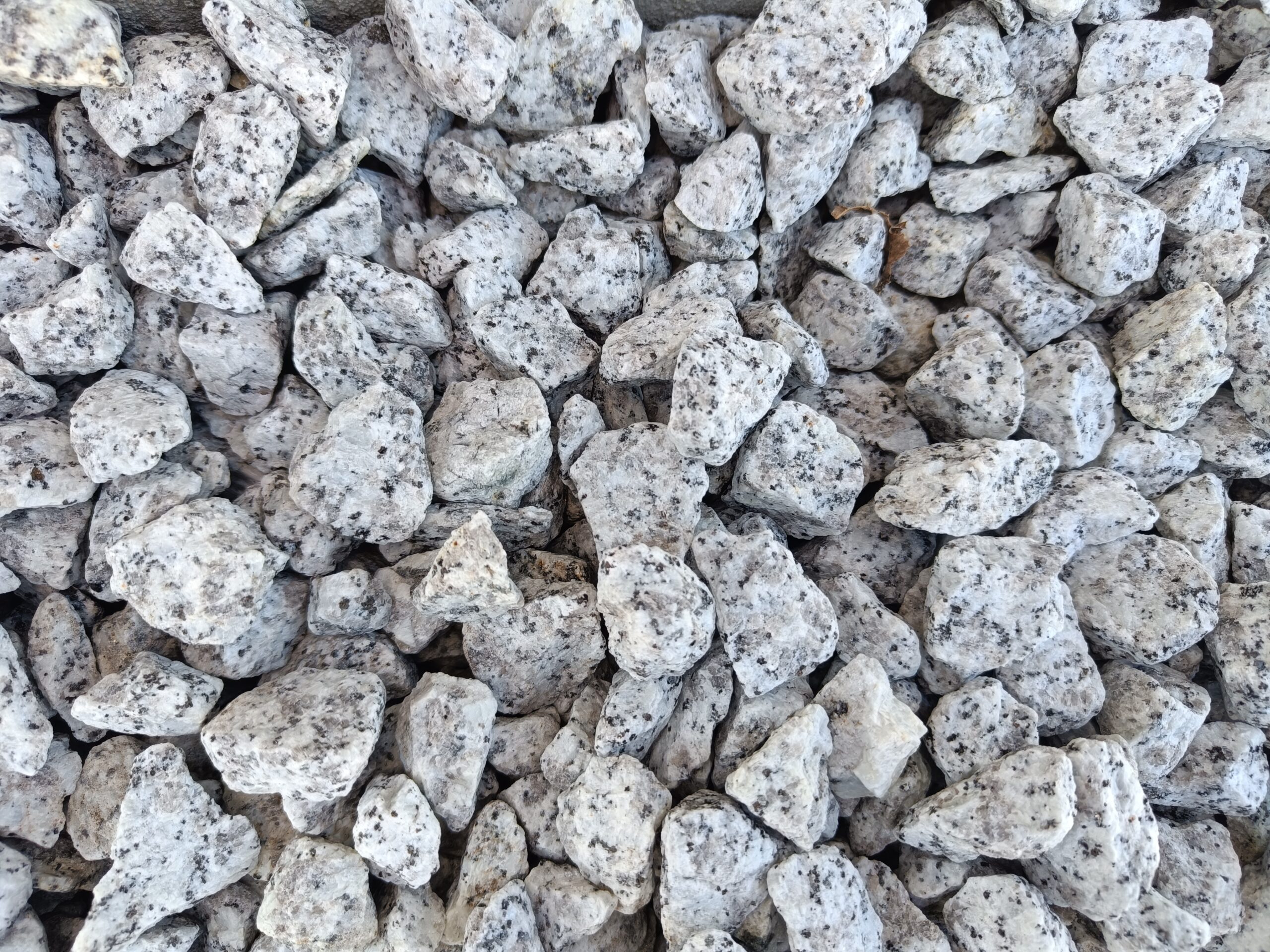 Grys granitowy Dalmatyńczyk 16/22 mm- zbliżenie