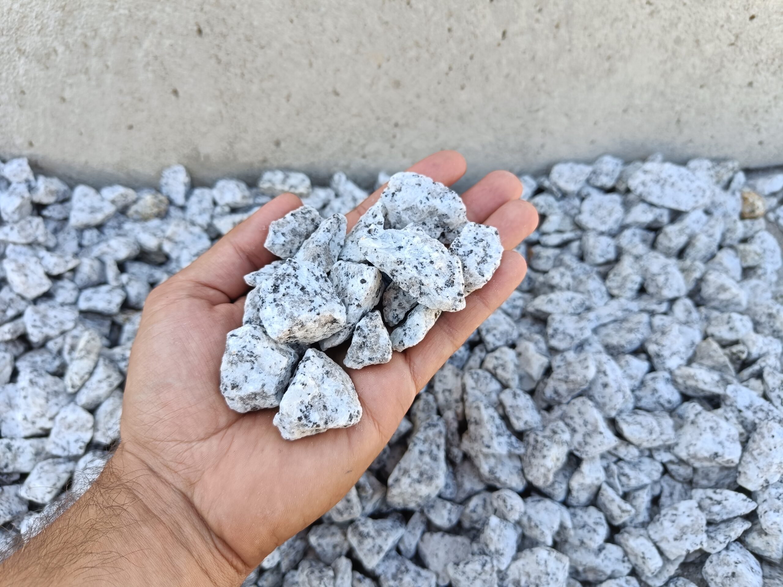 Grys granitowy Dalmatyńczyk 16/22 mm