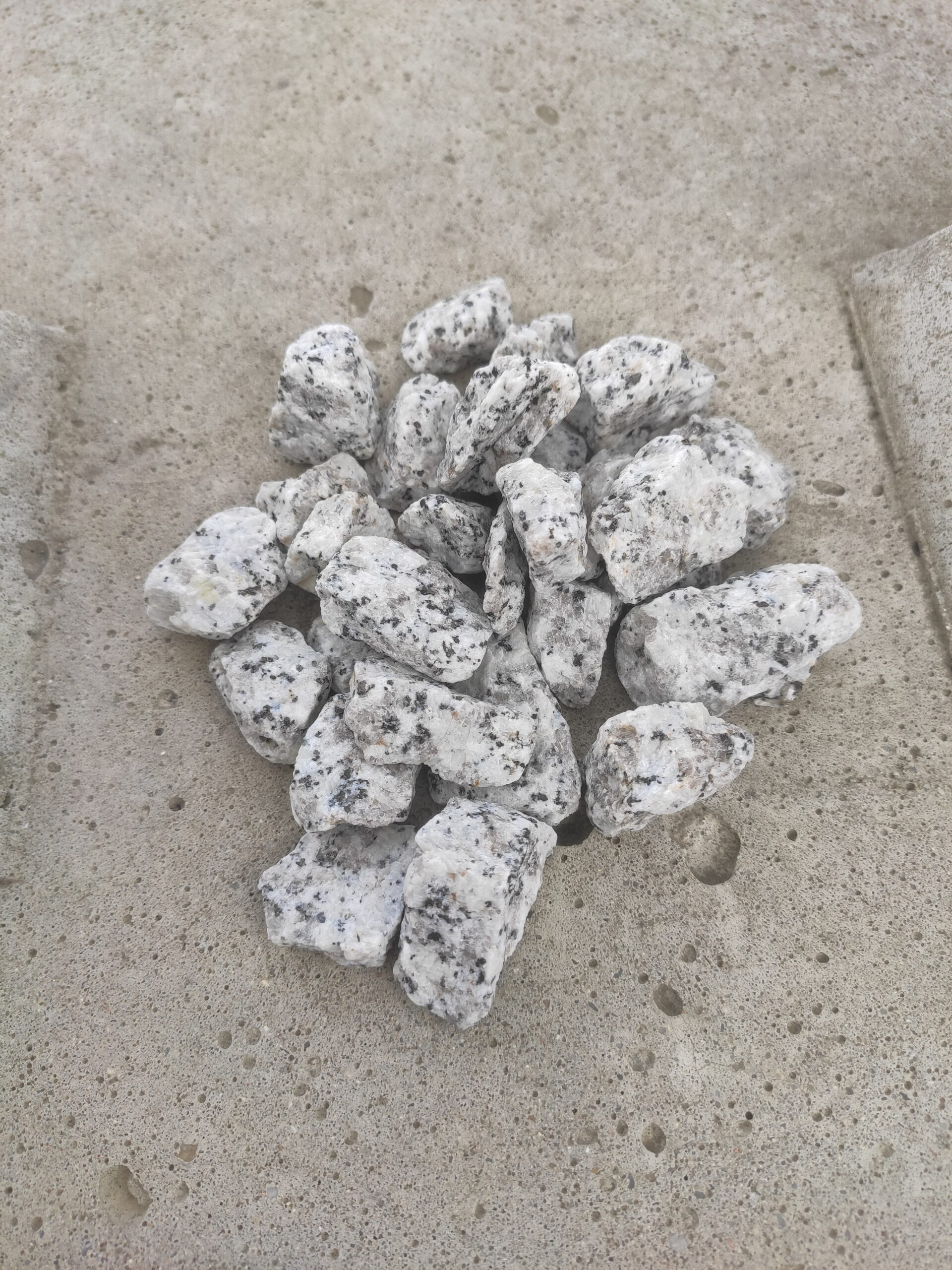 Grys granitowy Dalmatyńczyk 16/22 mm