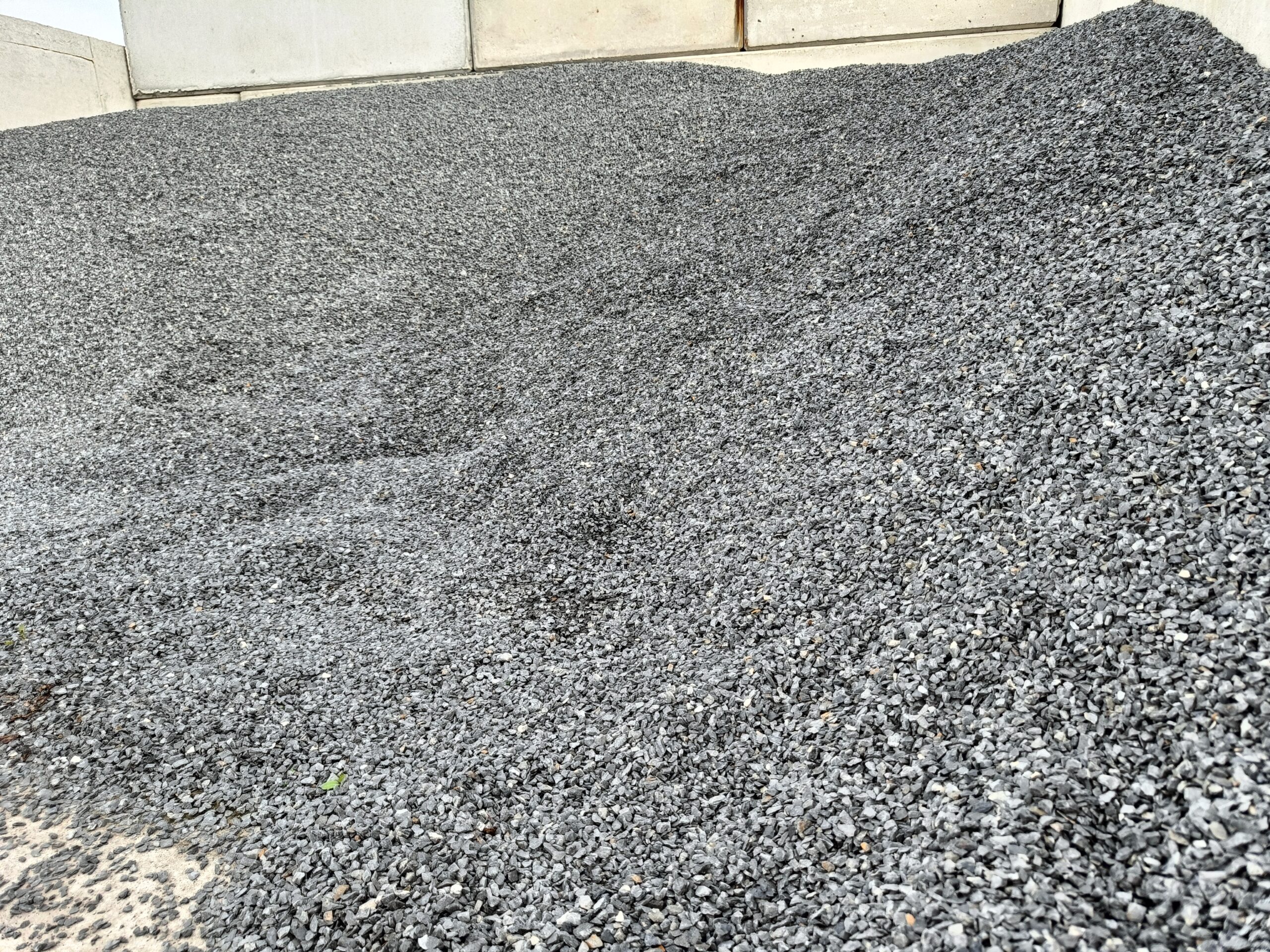 Grys szarogłazowy 5-8 mm