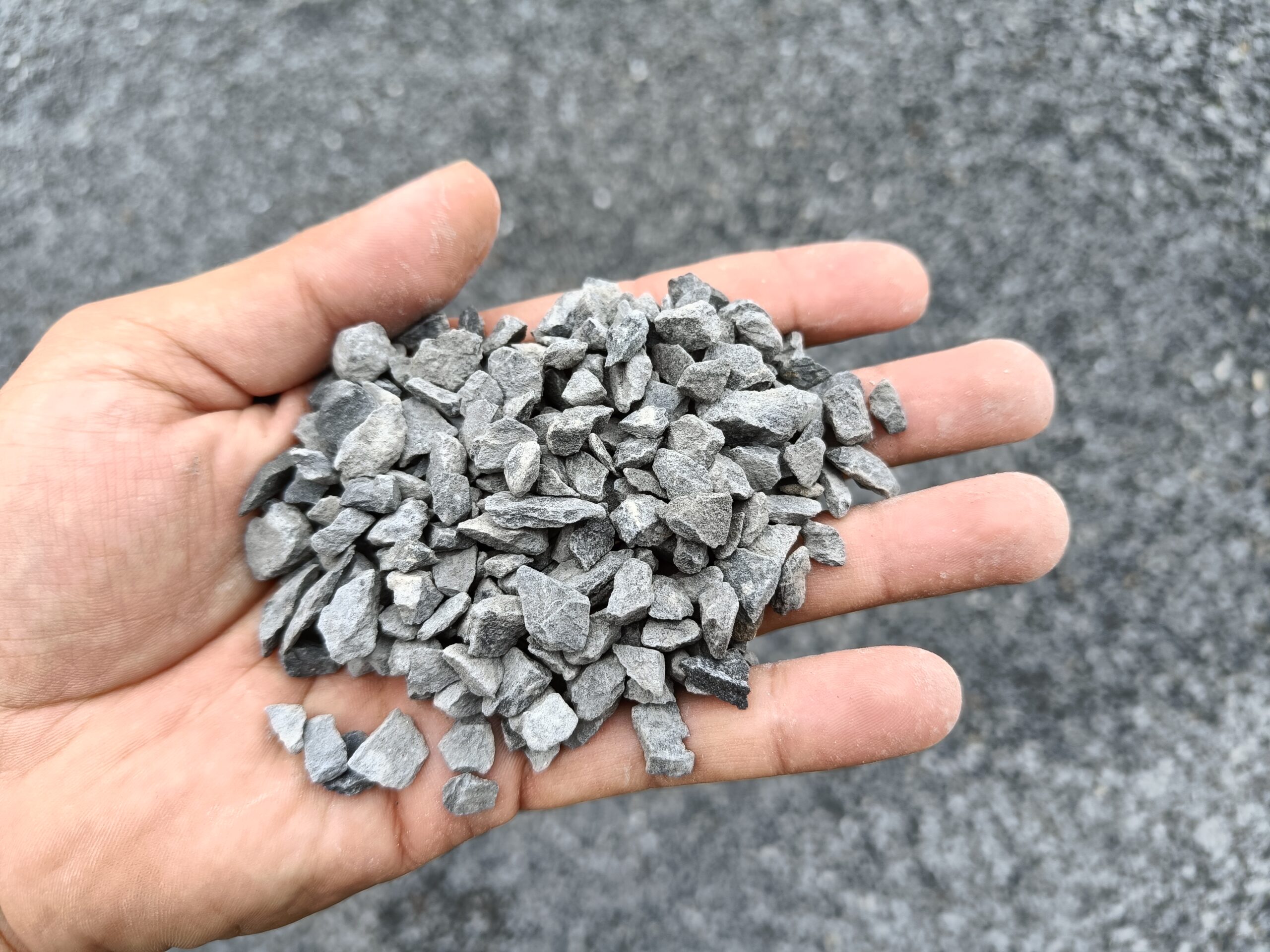 Grys szarogłazowy 5-8 mm