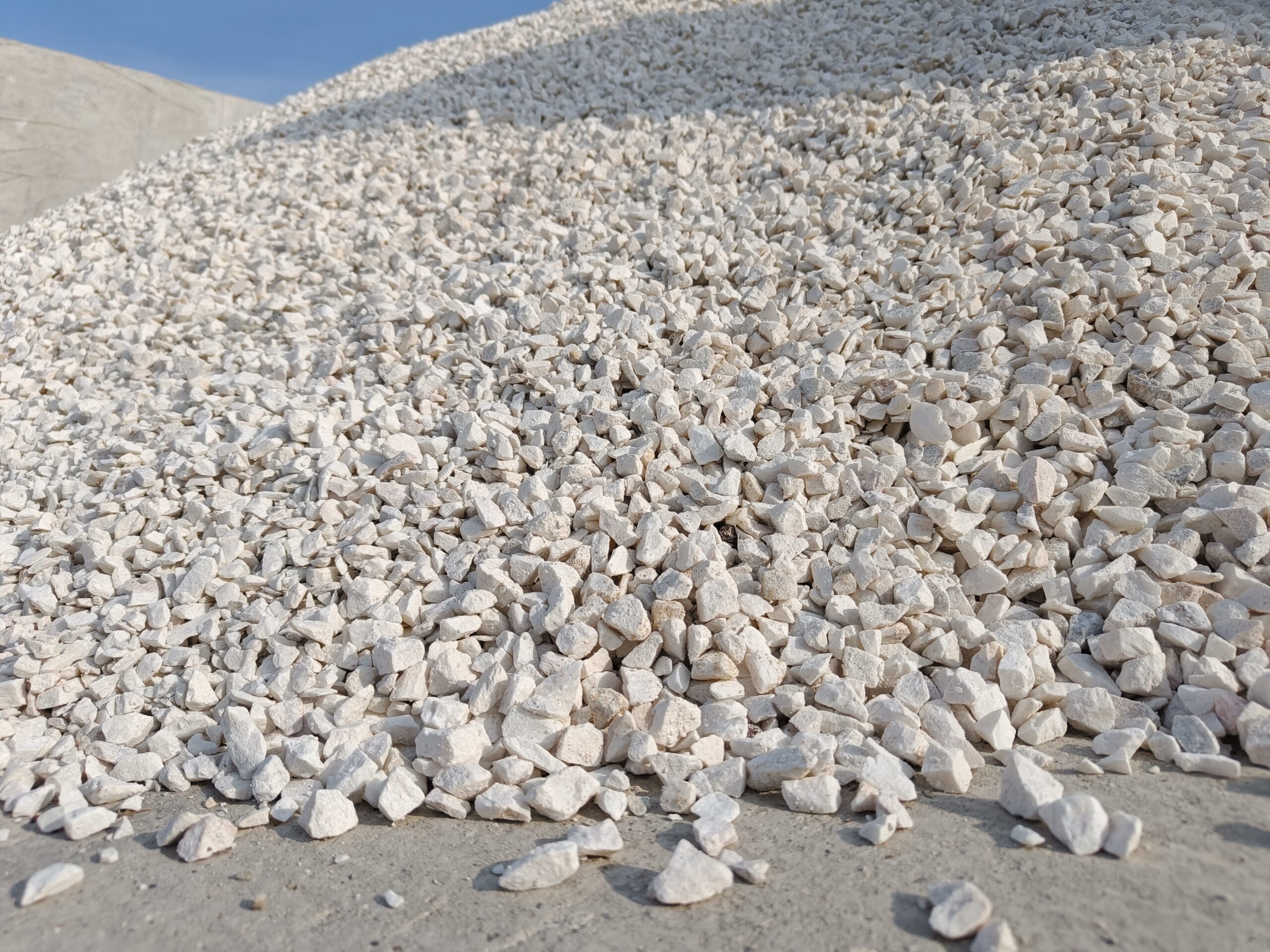 Grys Biała Marianna Premium