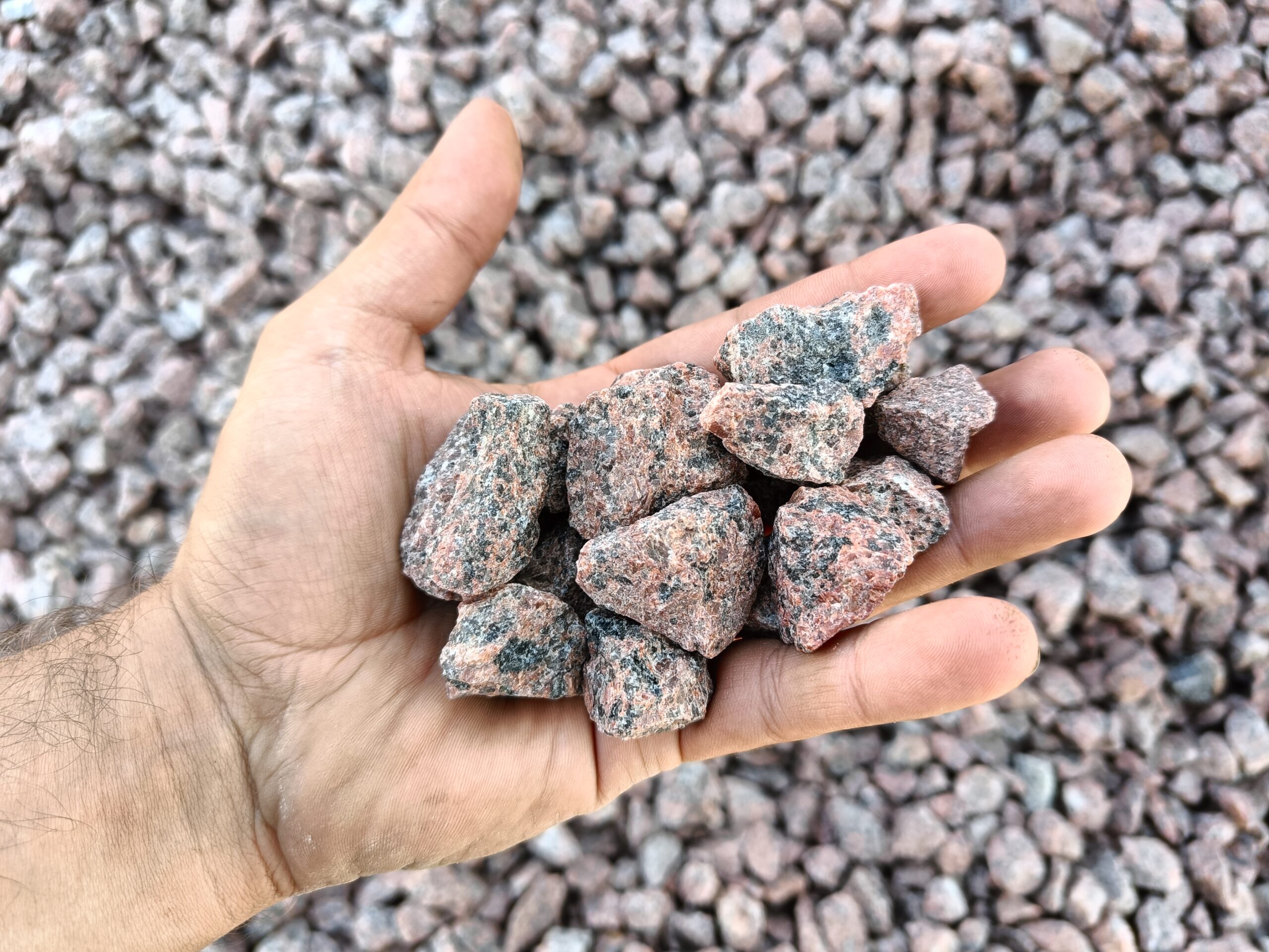 Grys granitowy Vanga