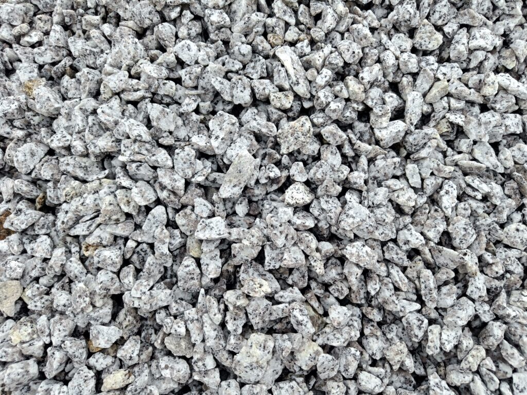 Grys granitowy Dalmatyńczyk