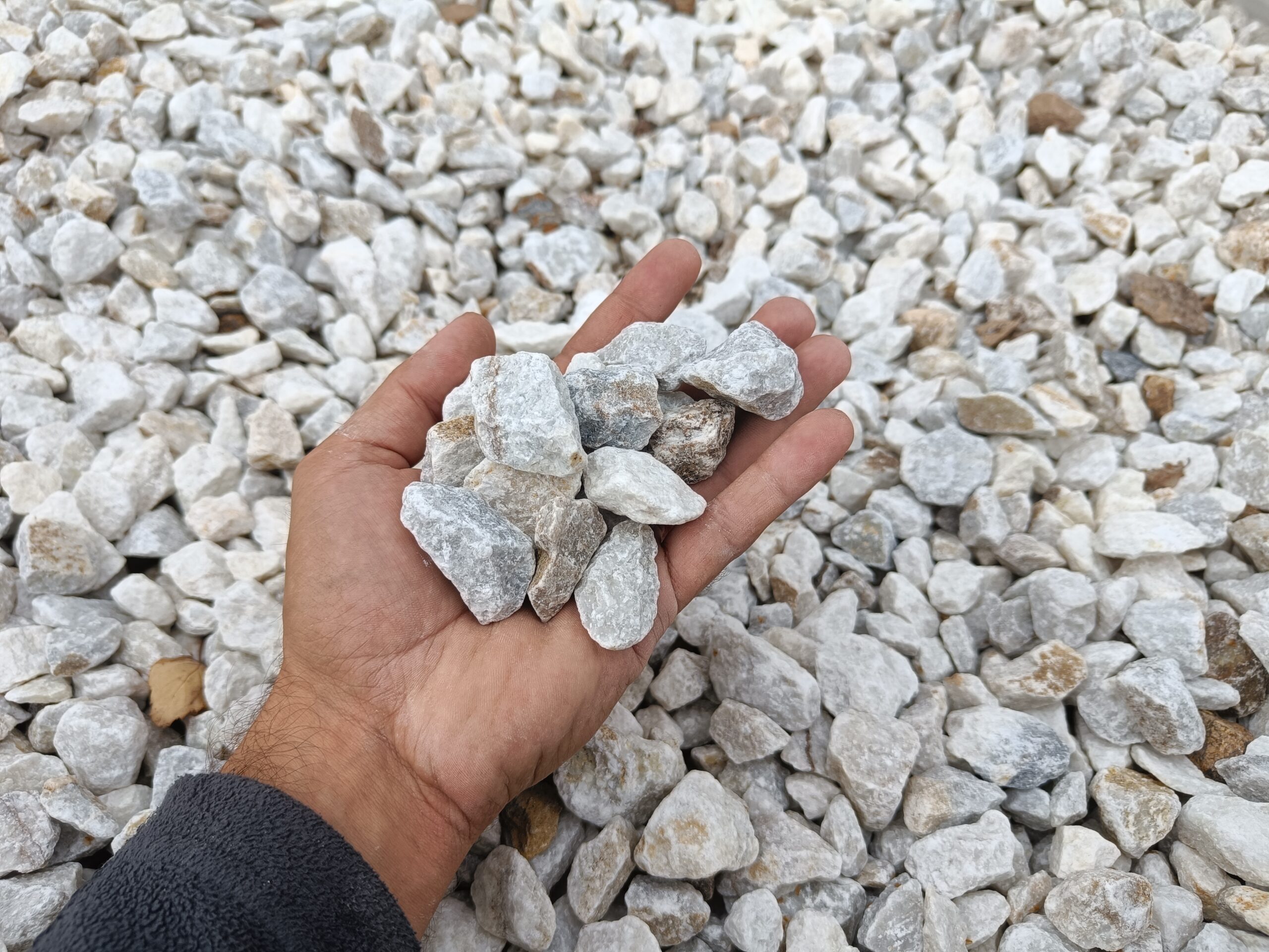 Grys Bałkański Kalcyt