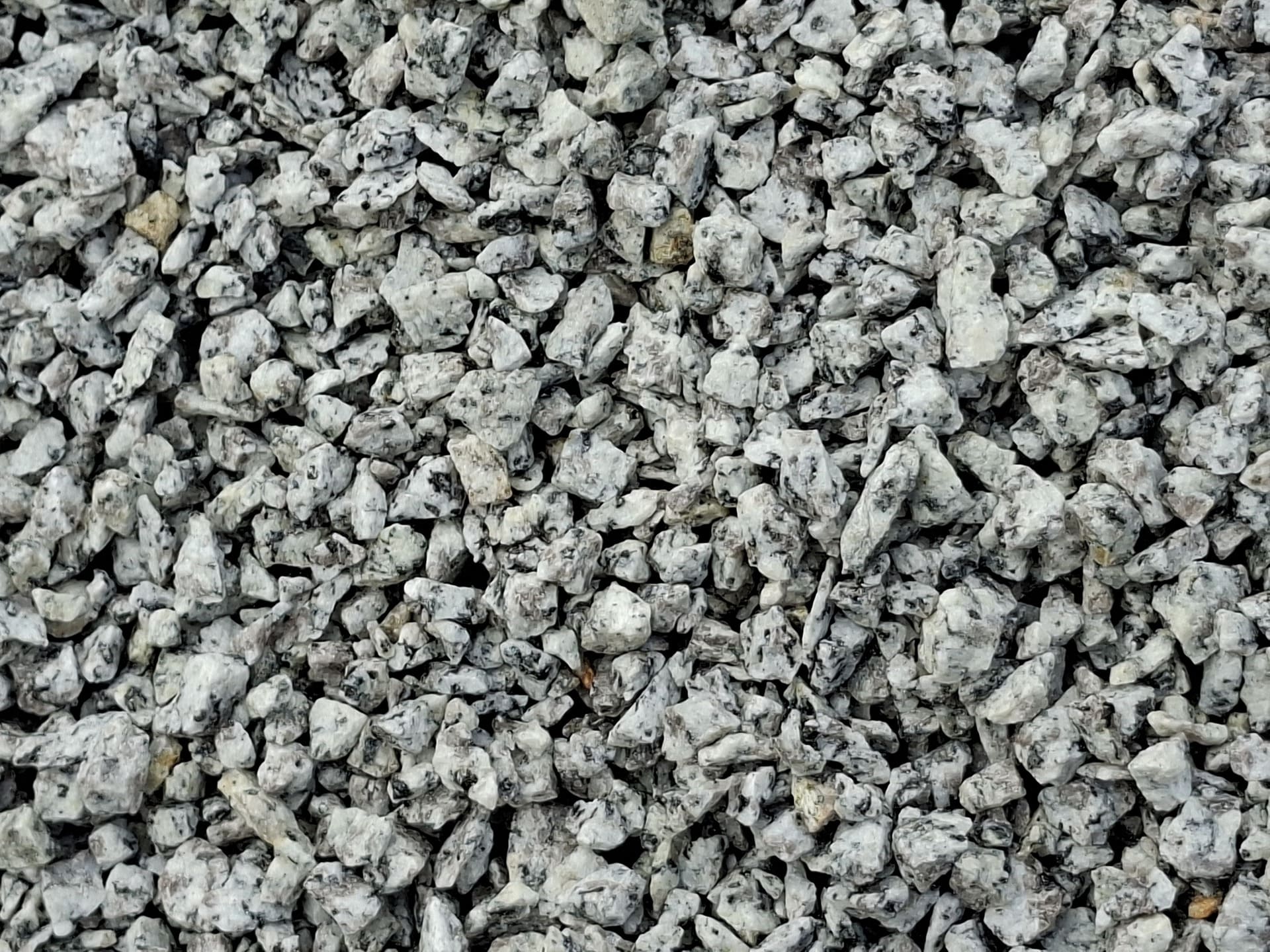 Grys Dalmatyńczyk 2/8 mm