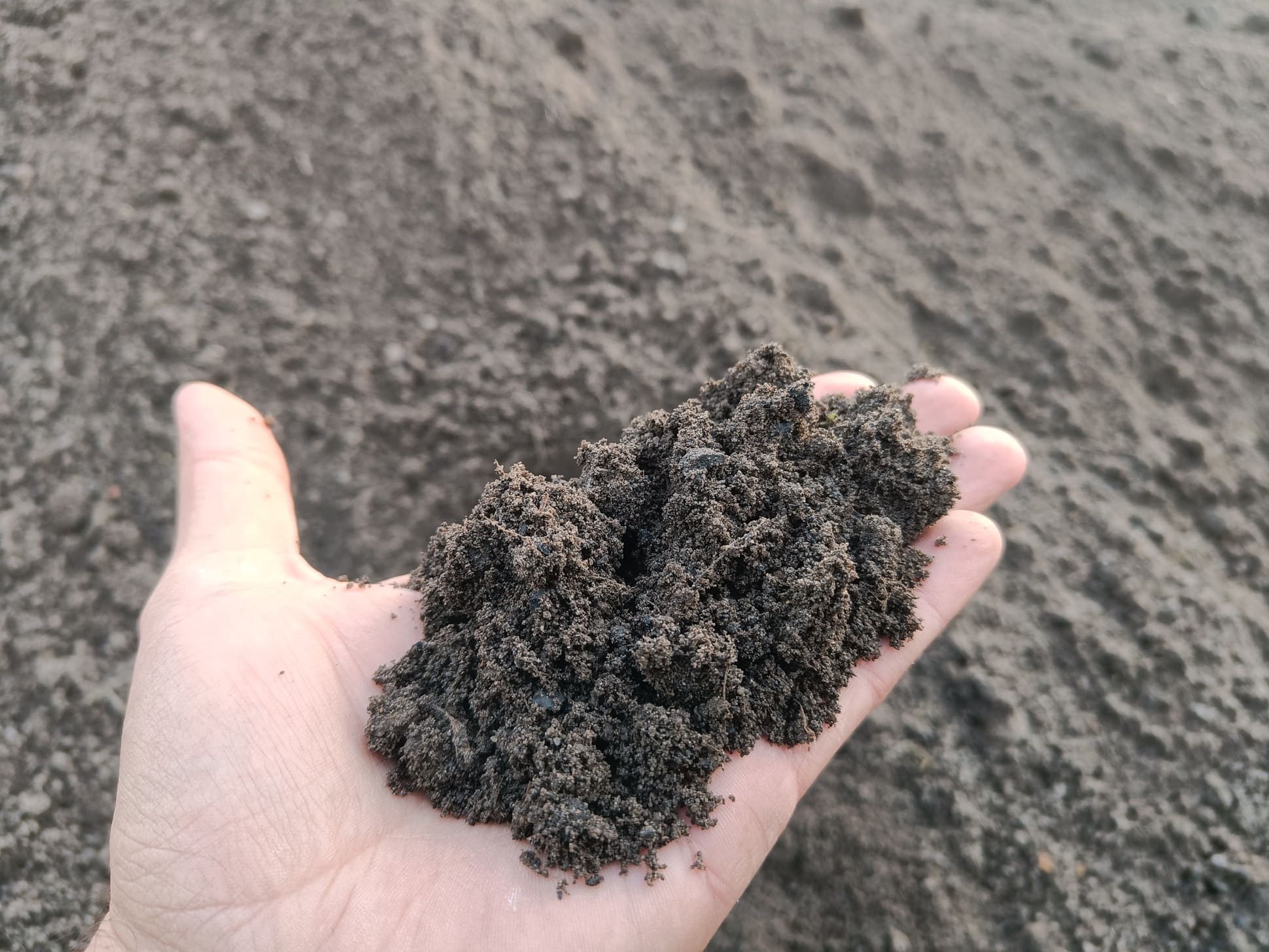 Ziemia ogrodowa Opole