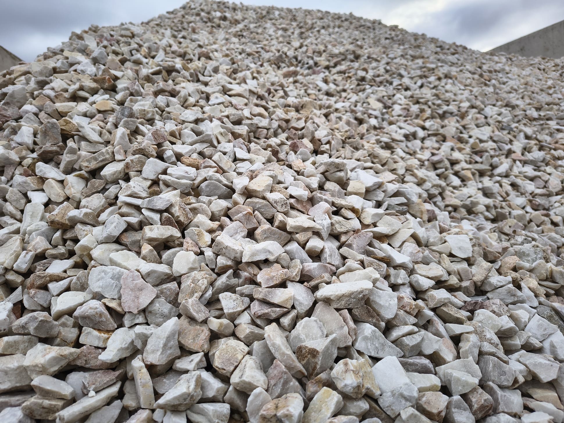 Grys Biała Marianna Q2