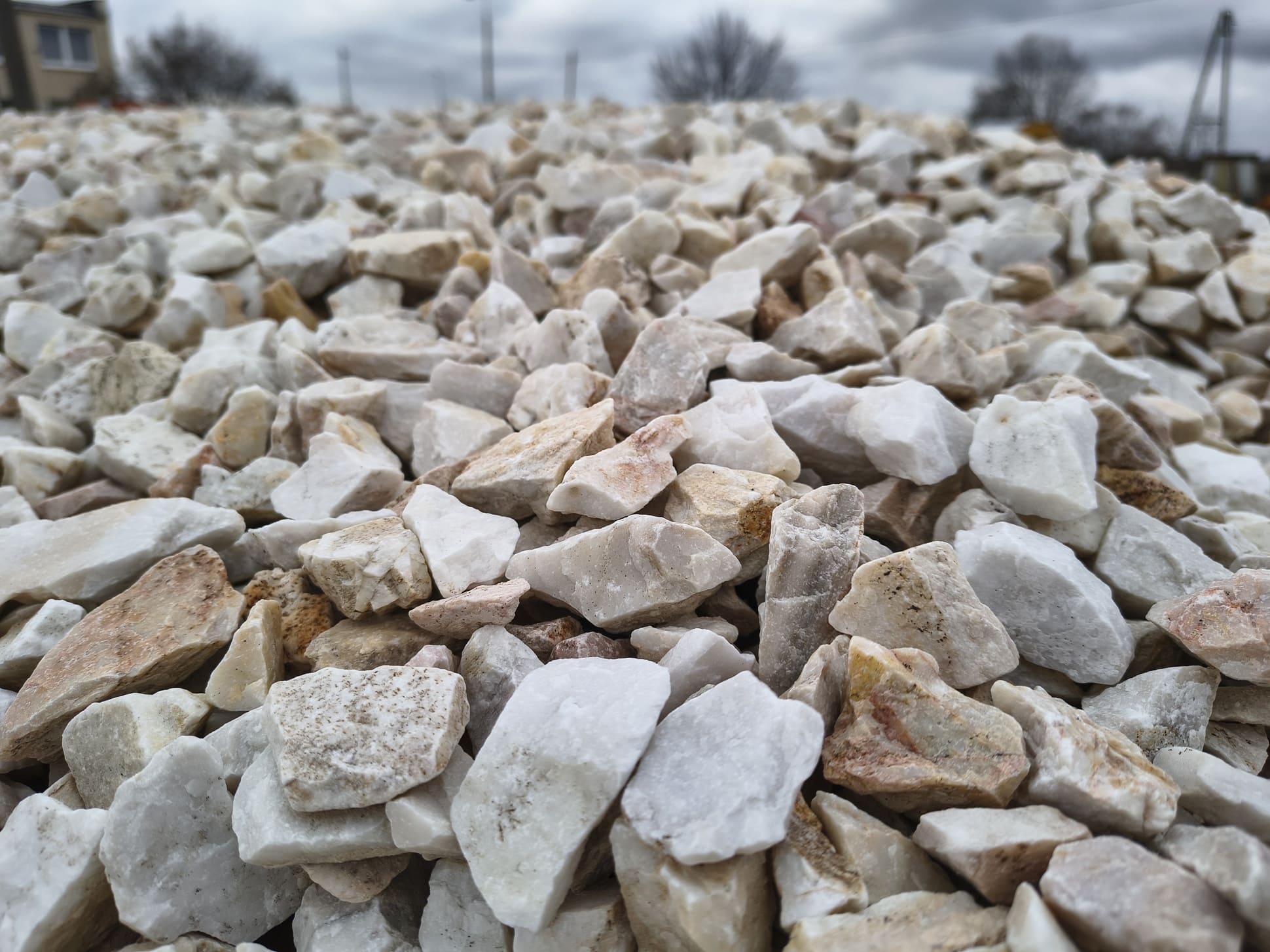 Grys Biała Marianna Q2