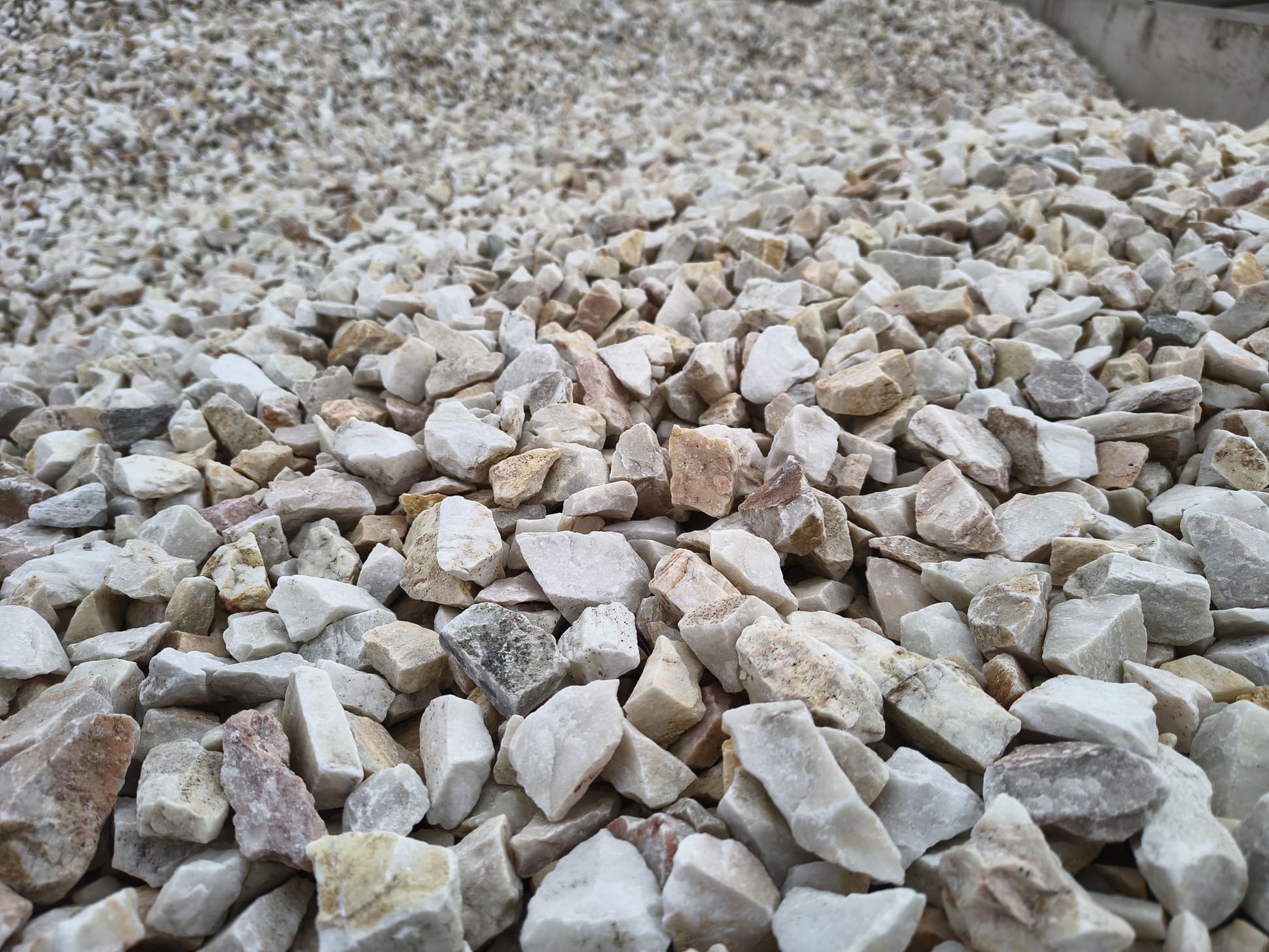 Grys Biała Marianna Q2