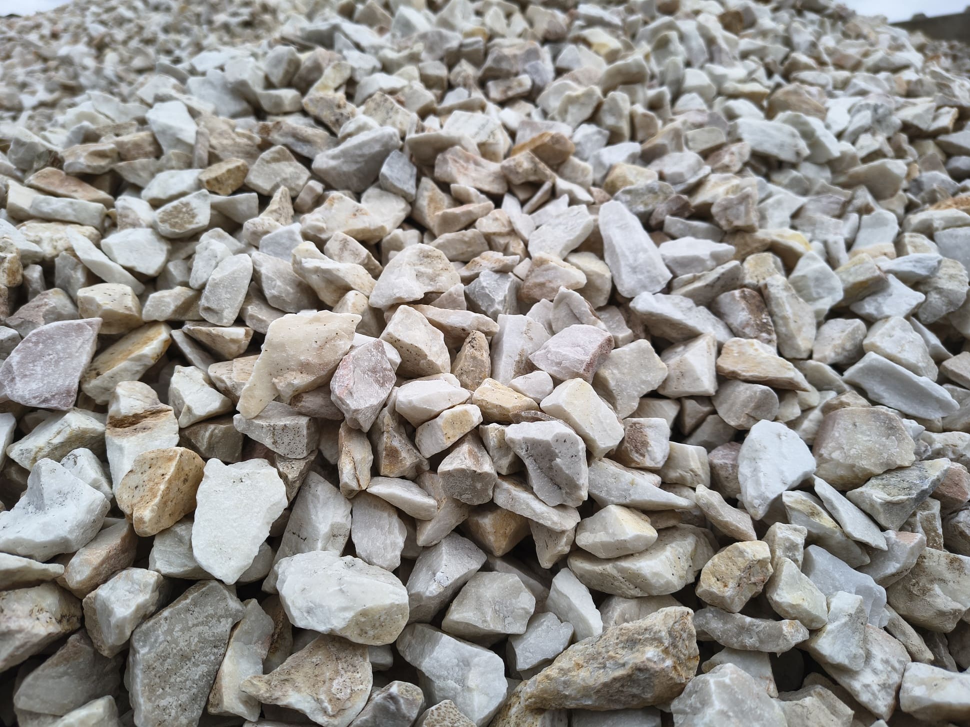 Grys Biała Marianna Q2